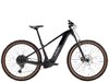 Trek Powerfly+ 4 EU L 29 Gloss Dark Star/Matte Dark Web
