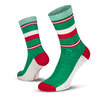 Le Patron Classic Jersey Bartali Socks italian green 43-46