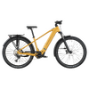 Scott Axis 20 - colorado gold - L
